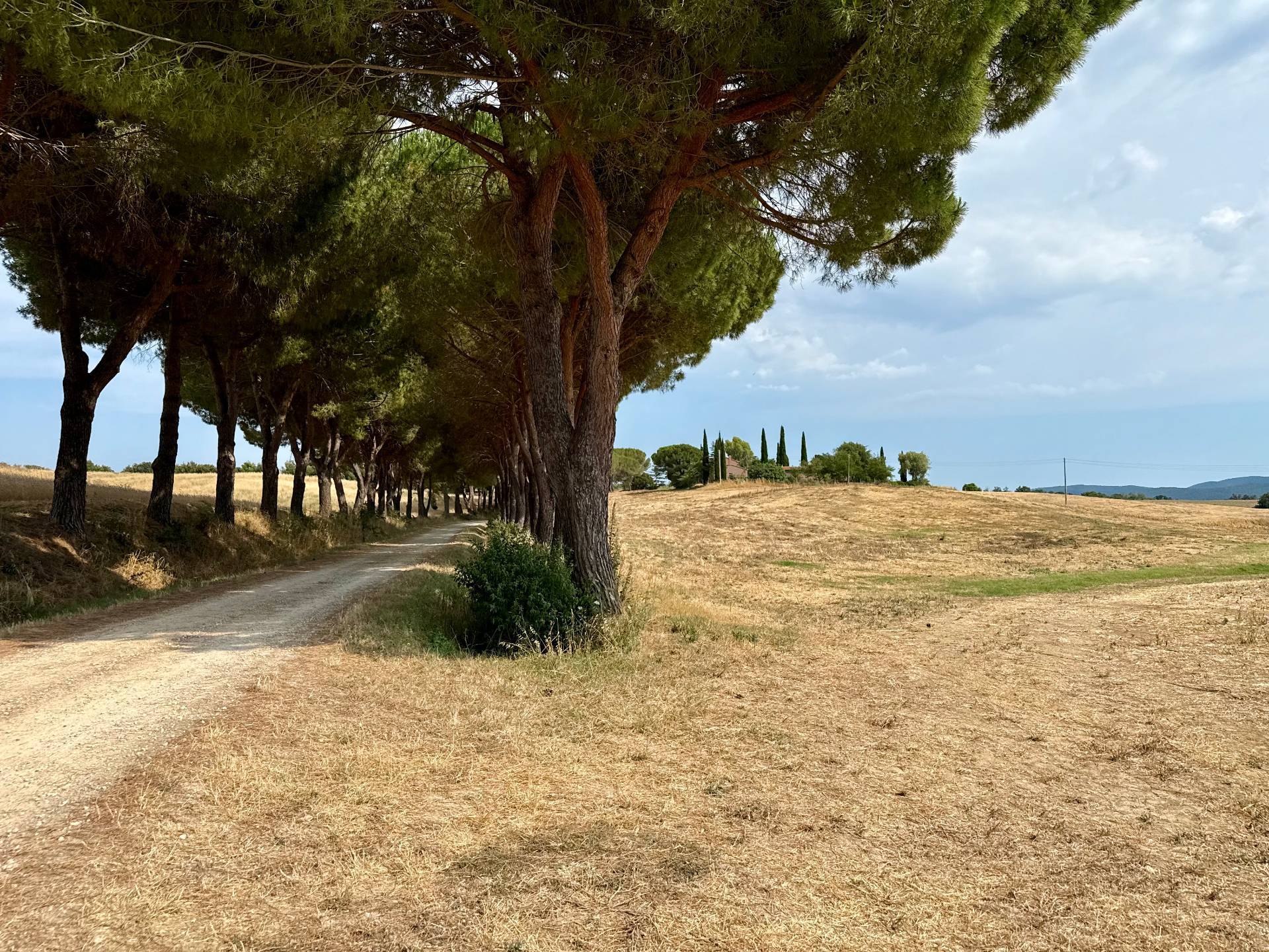Magliano in Toscana, Grosseto, 58051, IT, 5 Bedrooms Bedrooms, ,3 BathroomsBathrooms,Residential,For Sale,1885318