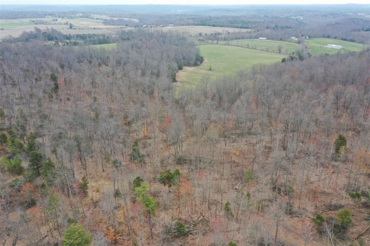 Clarkson, Kentucky, 42726, United States, ,Land,For Sale,1828562