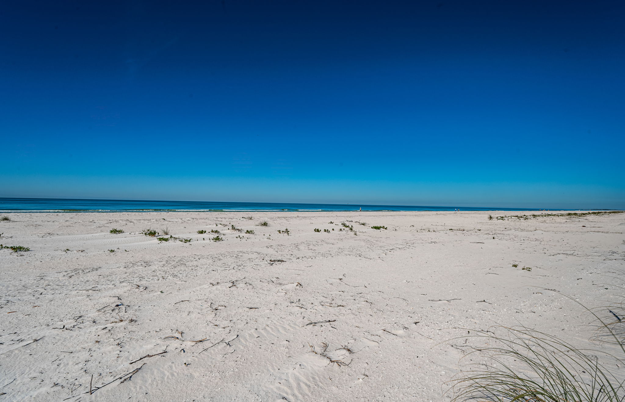 Clearwater, Florida, 33767, United States, 4 Bedrooms Bedrooms, ,5 BathroomsBathrooms,Residential,For Sale,2010796