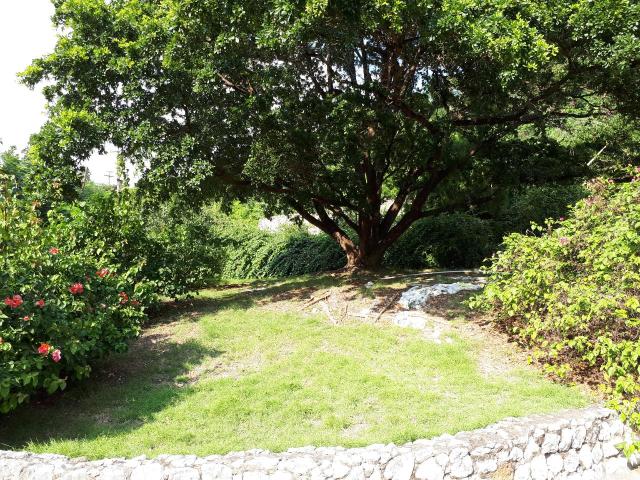 Kingston & St. Andrew, JM, 4 Bedrooms Bedrooms, ,5 BathroomsBathrooms,Residential,For Sale,1615791
