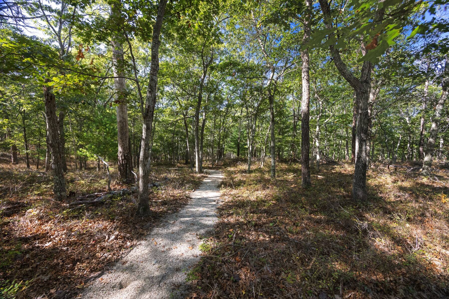  Dazzling East Hampton Compound Featured in Architectural Digest - 物件實景