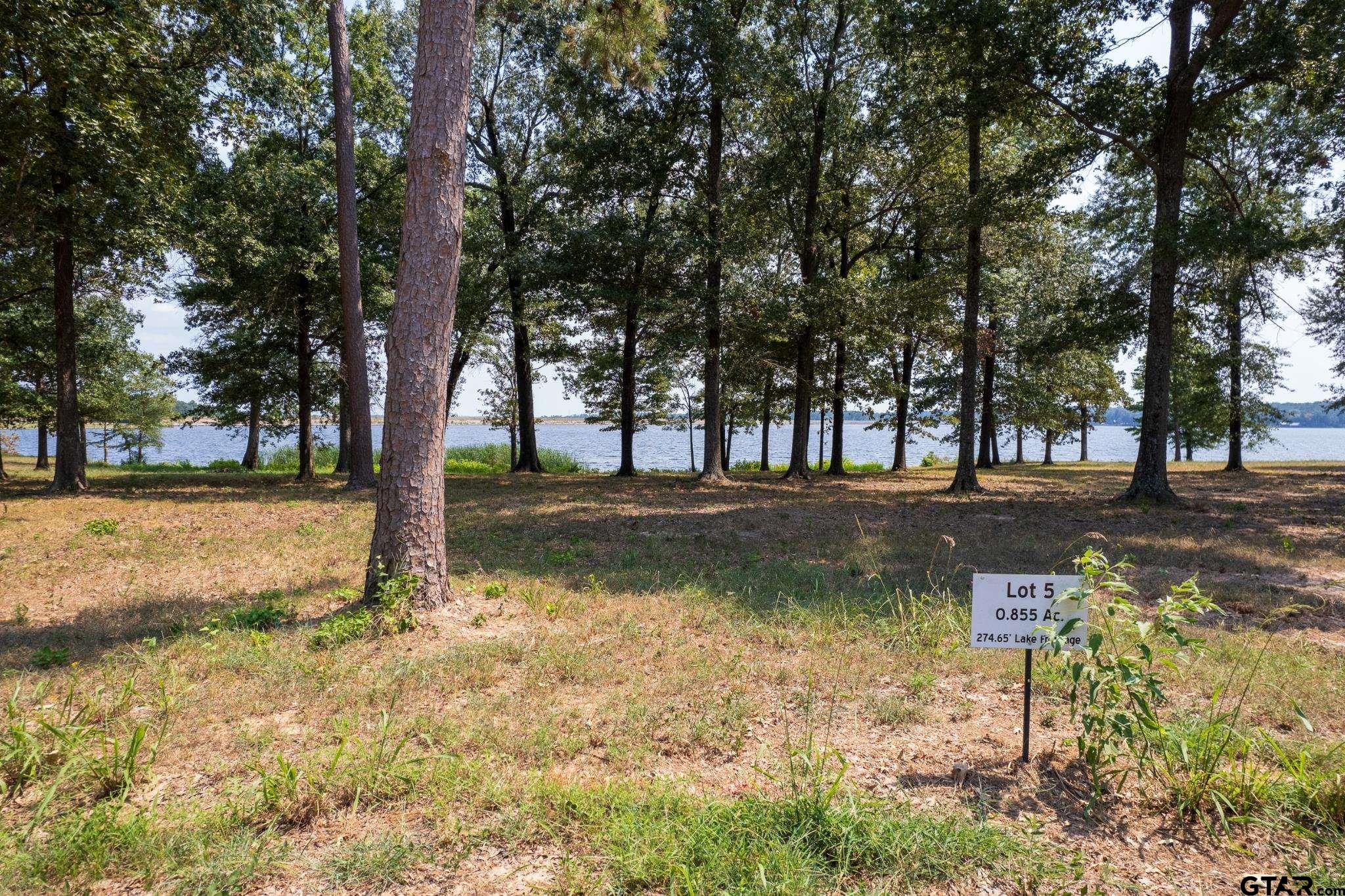 Mt Vernon, Texas, 75457, United States, ,Residential,For Sale,1861116