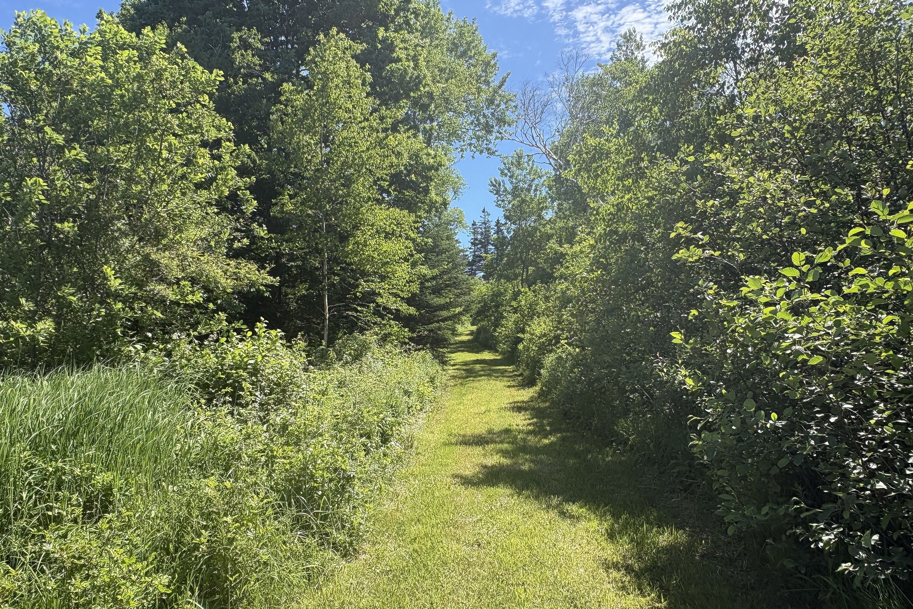  Ross Creek, - 物件實景