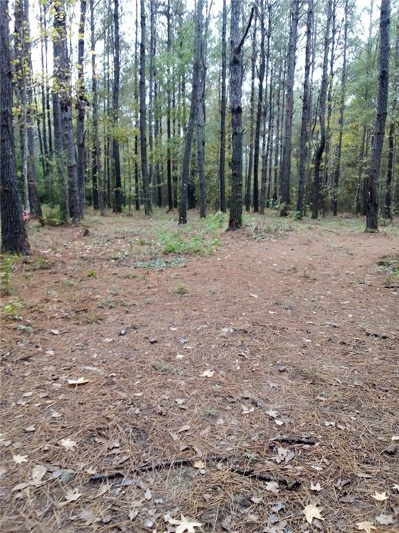 Bush, Louisiana, 70431, United States, ,Land,For Sale,1987560