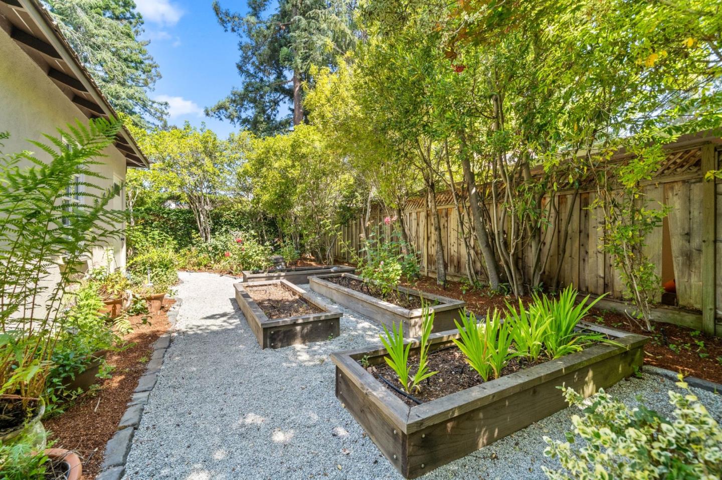 Palo Alto, California, 94301, United States, 4 Bedrooms Bedrooms, ,4 BathroomsBathrooms,Residential,For Sale,1837921