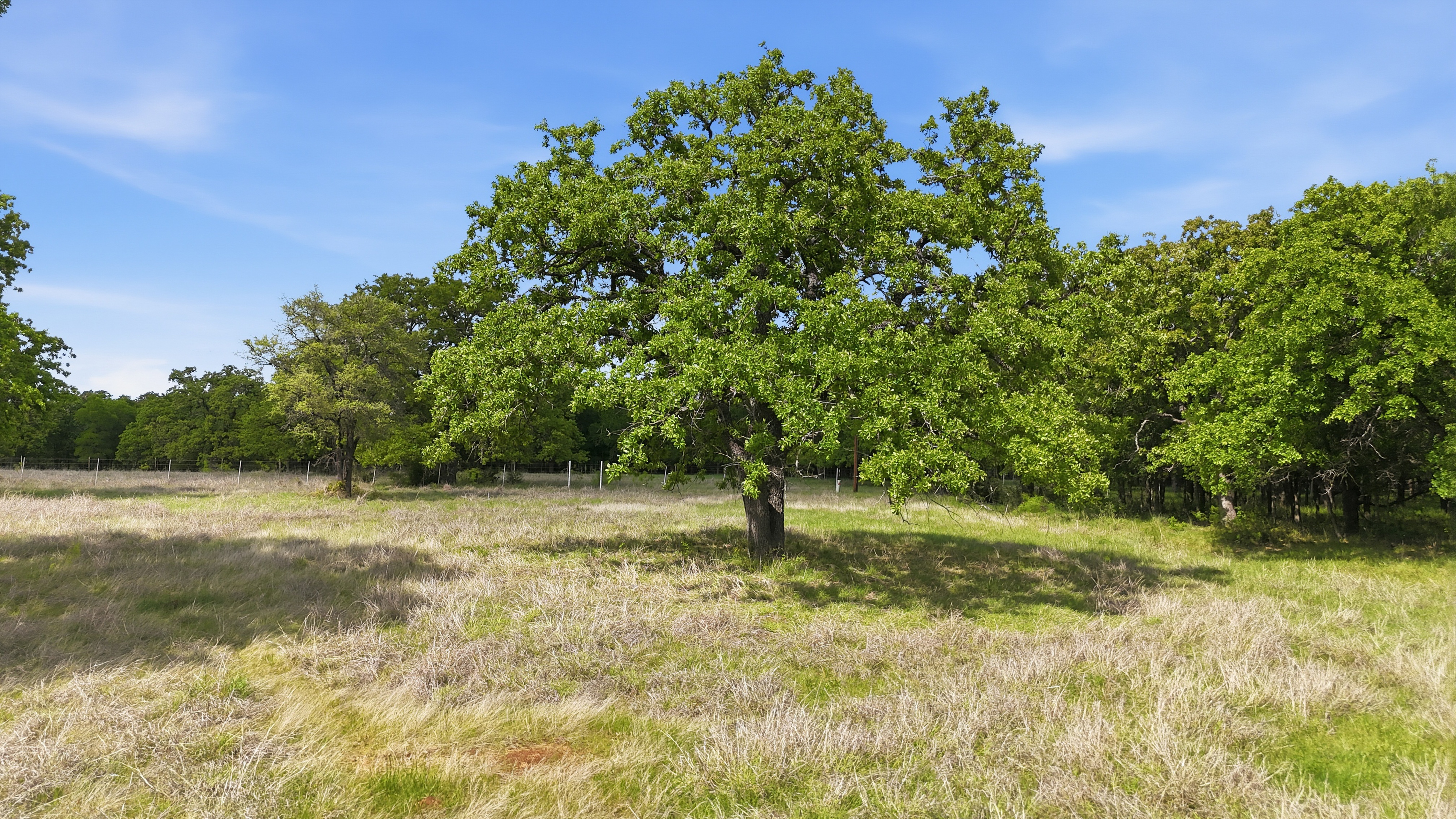  400 River Ranch Road, Aledo, TX, 76008 - 物件實景