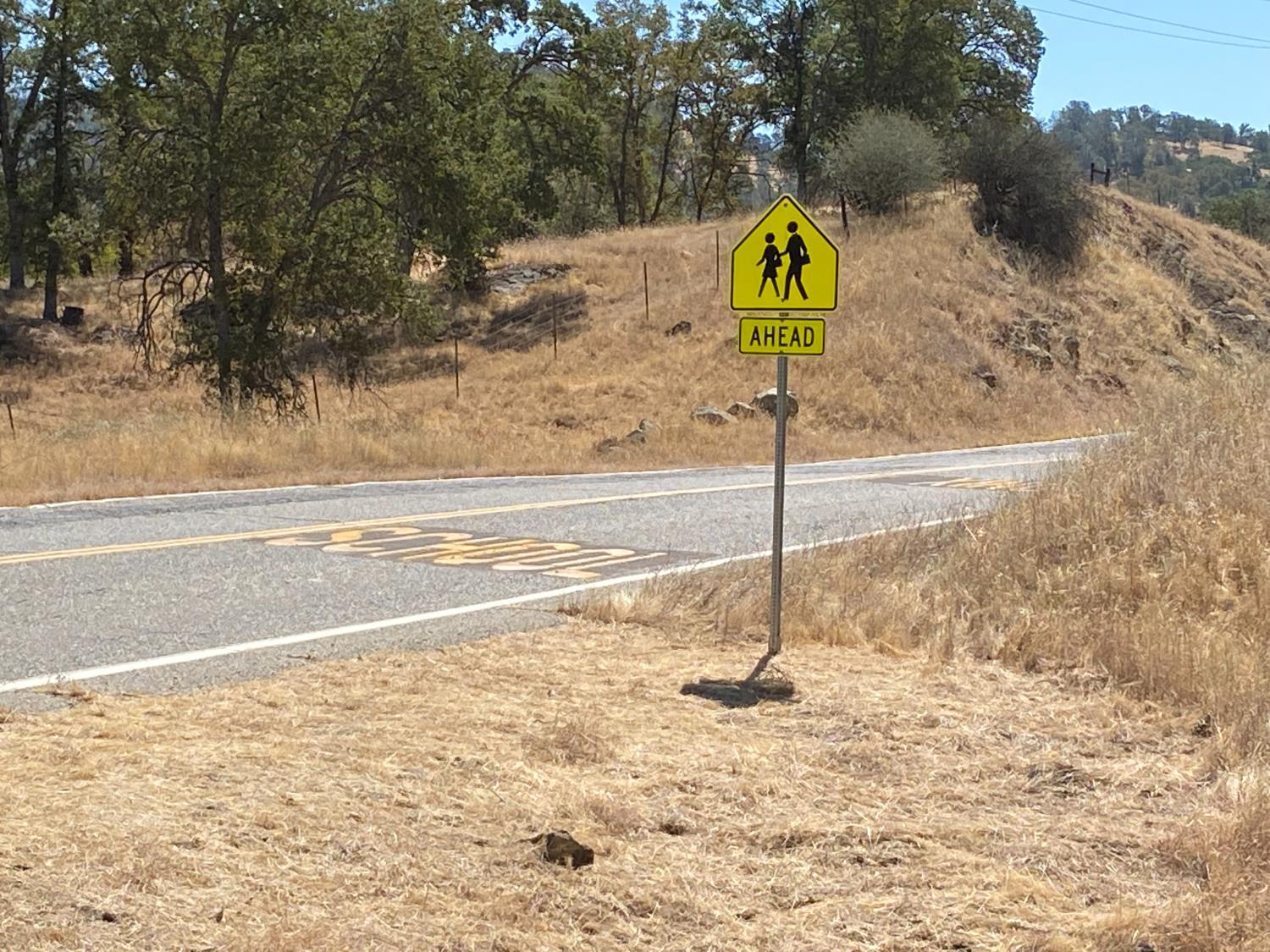 Coarsegold, California, 93614, United States, 4 Bedrooms Bedrooms, ,3 BathroomsBathrooms,Residential,For Sale,1981394