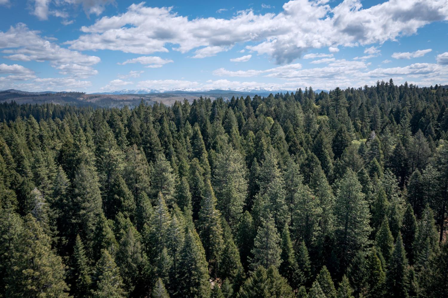 Pollock Pines, California, 95726, United States, ,Residential,For Sale,1982906