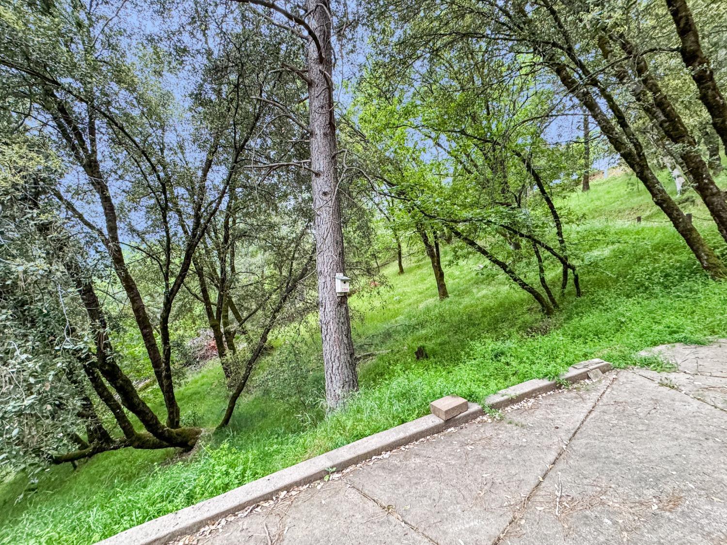 Grass Valley, California, 95949, United States, 3 Bedrooms Bedrooms, ,4 BathroomsBathrooms,Residential,For Sale,1920677