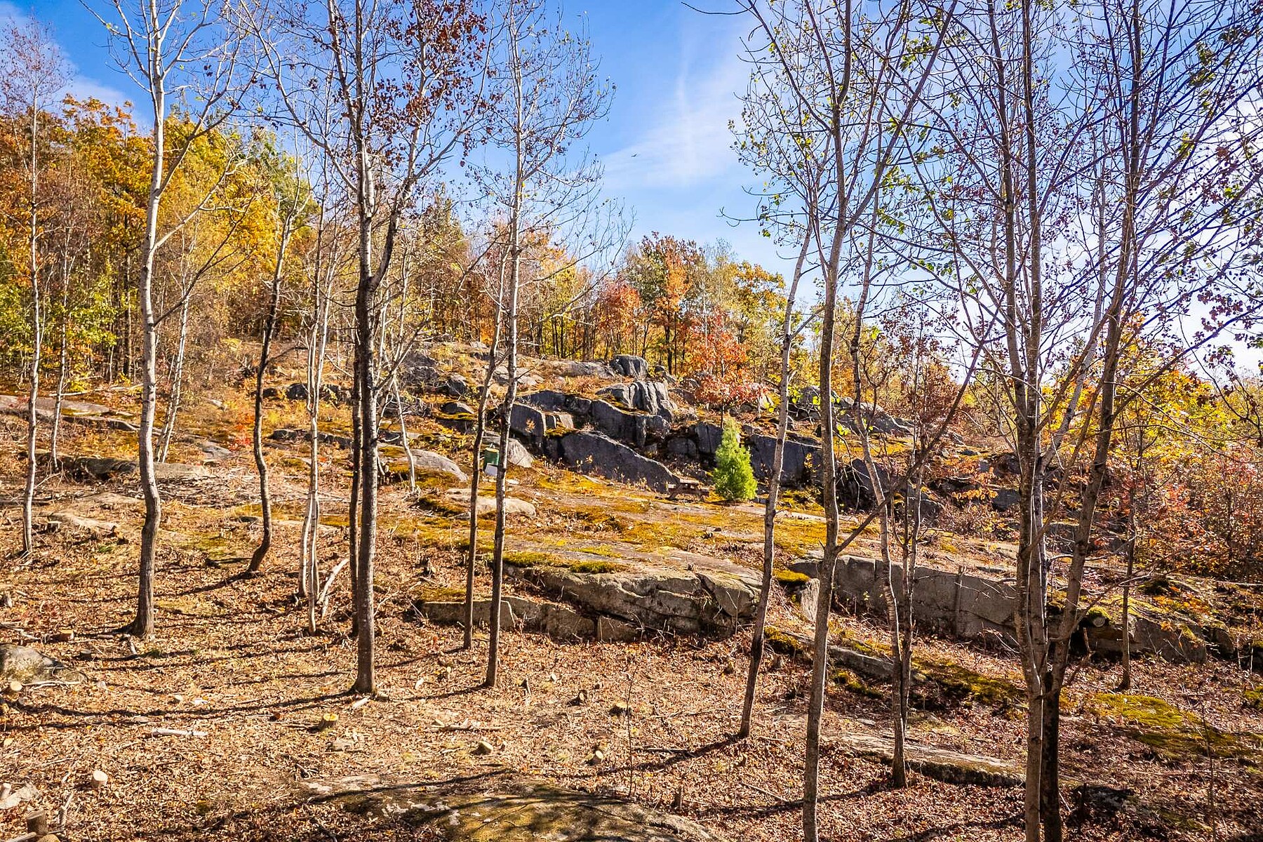  Shefford, Eastern Townships - 物件實景