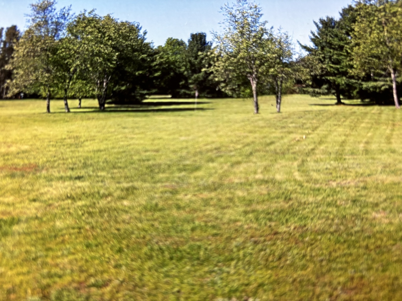 Mercer, Wisconsin, 54547, United States, 3 Bedrooms Bedrooms, ,2 BathroomsBathrooms,Residential,For Sale,2007529