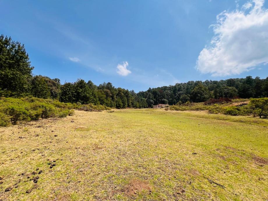 Valle de Bravo, Estado de méxico, 51200, Mexico, 1 Bedroom Bedrooms, ,Residential,For Sale,1721616