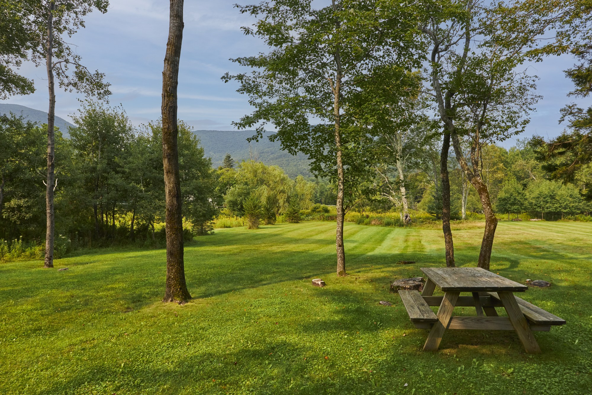  1658 Platte Clove Road, Elka Park, NY, 12427 - 物件實景