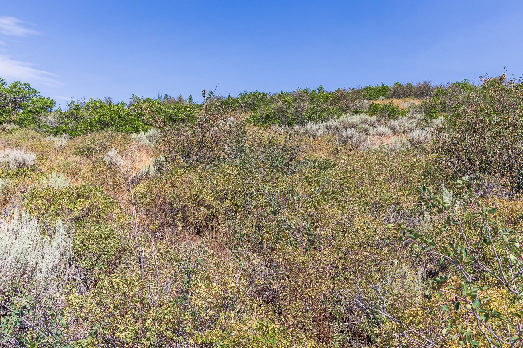  Deer Vista Homesite with Habitations Building Plans and Jaw-Dropping Views - 物件實景