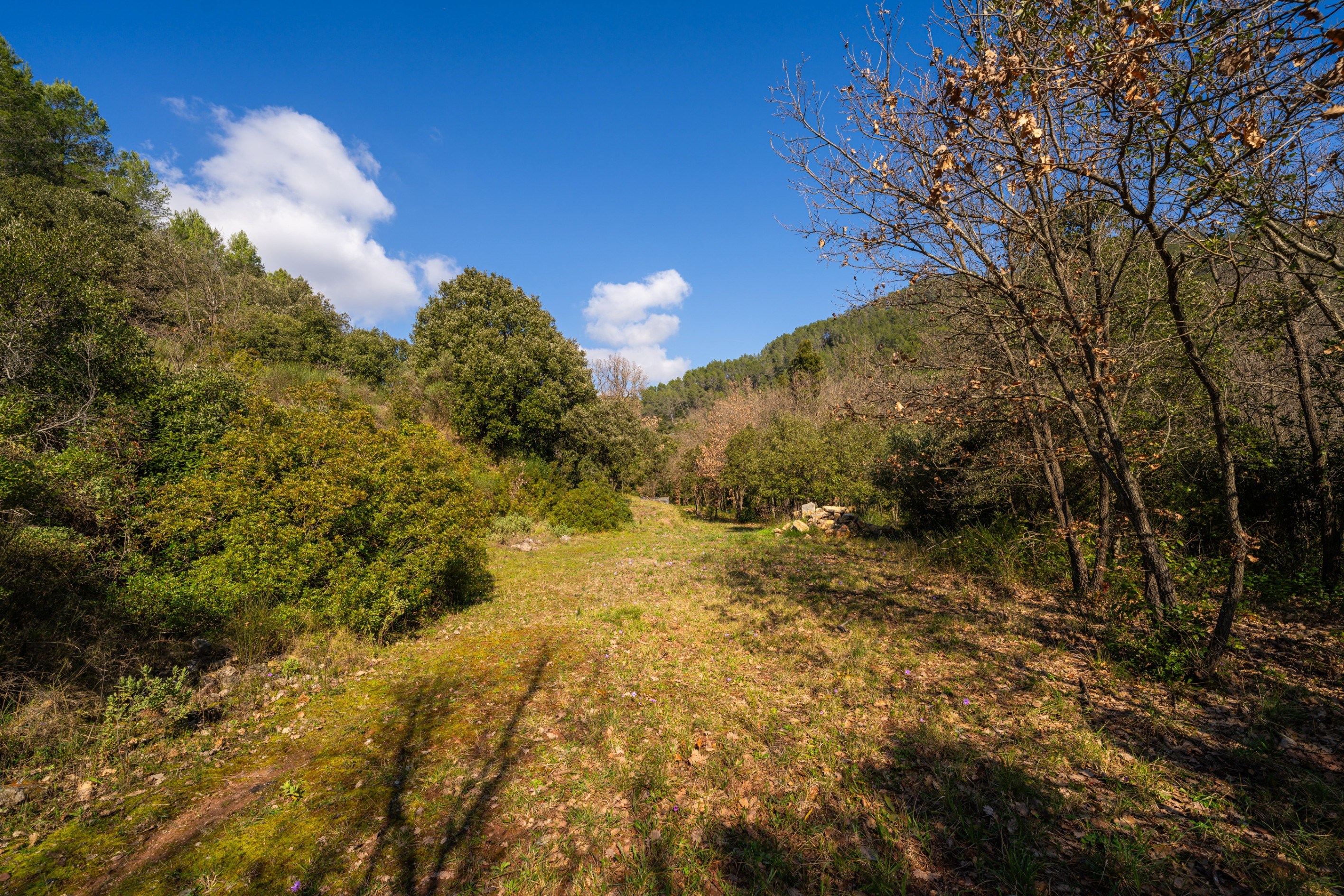  Gonfaron, Var – Renovated House on 8.5 Hectares of Land - 物件實景