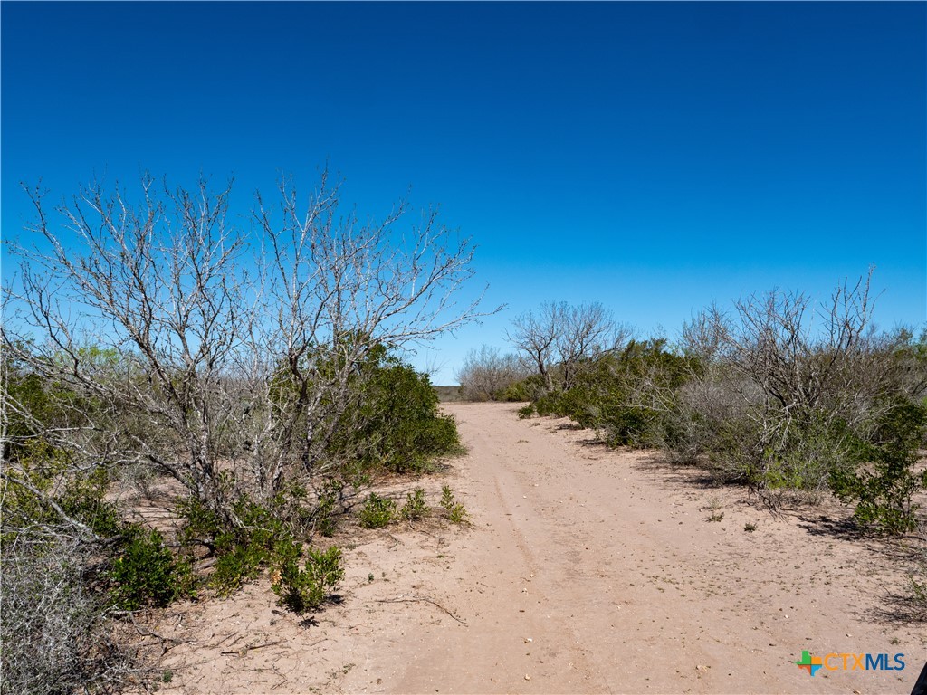 George West, Texas, 78022, United States, ,Land,For Sale,1738703