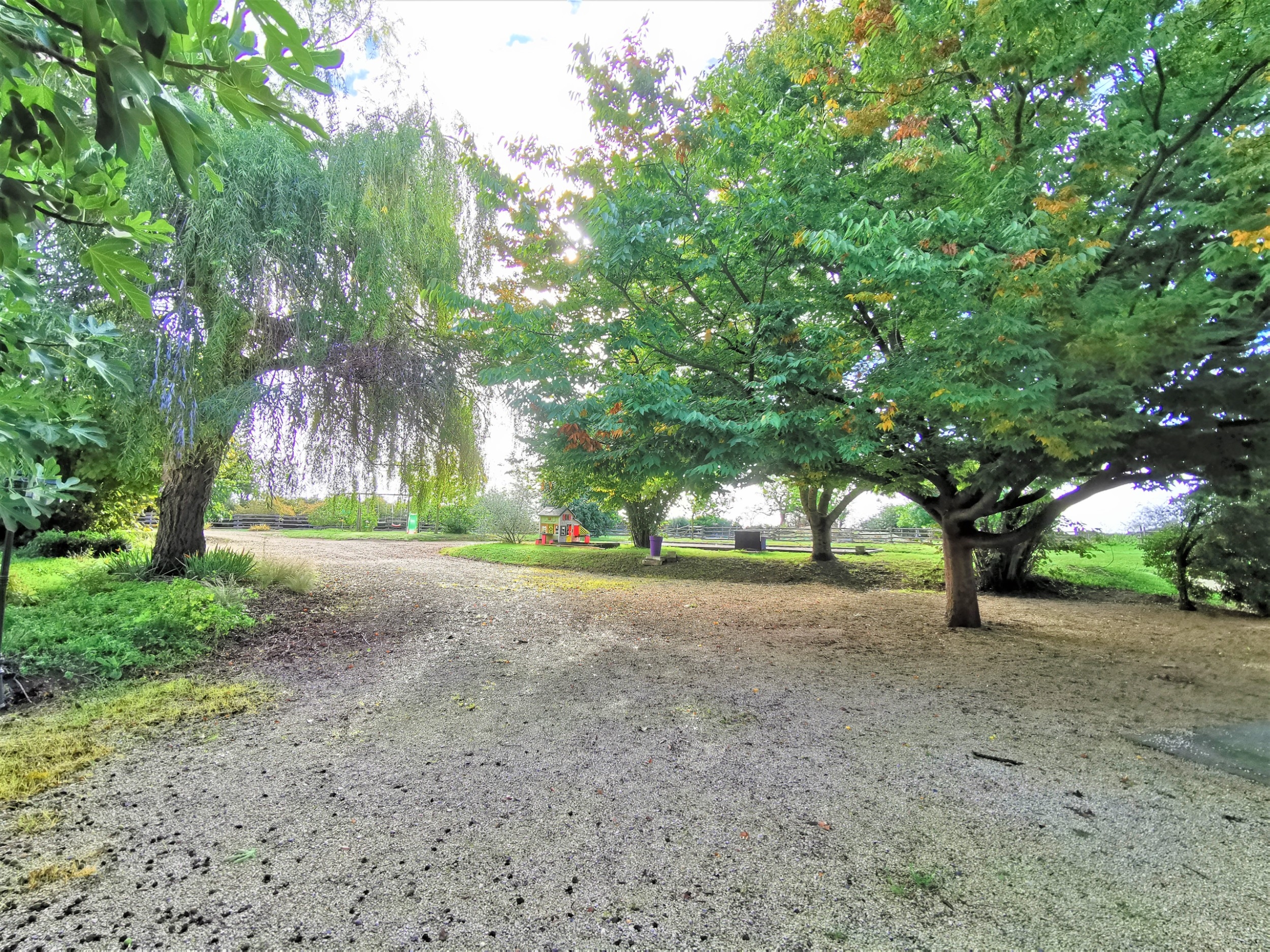  Character estate with hospitality business - 物件實景