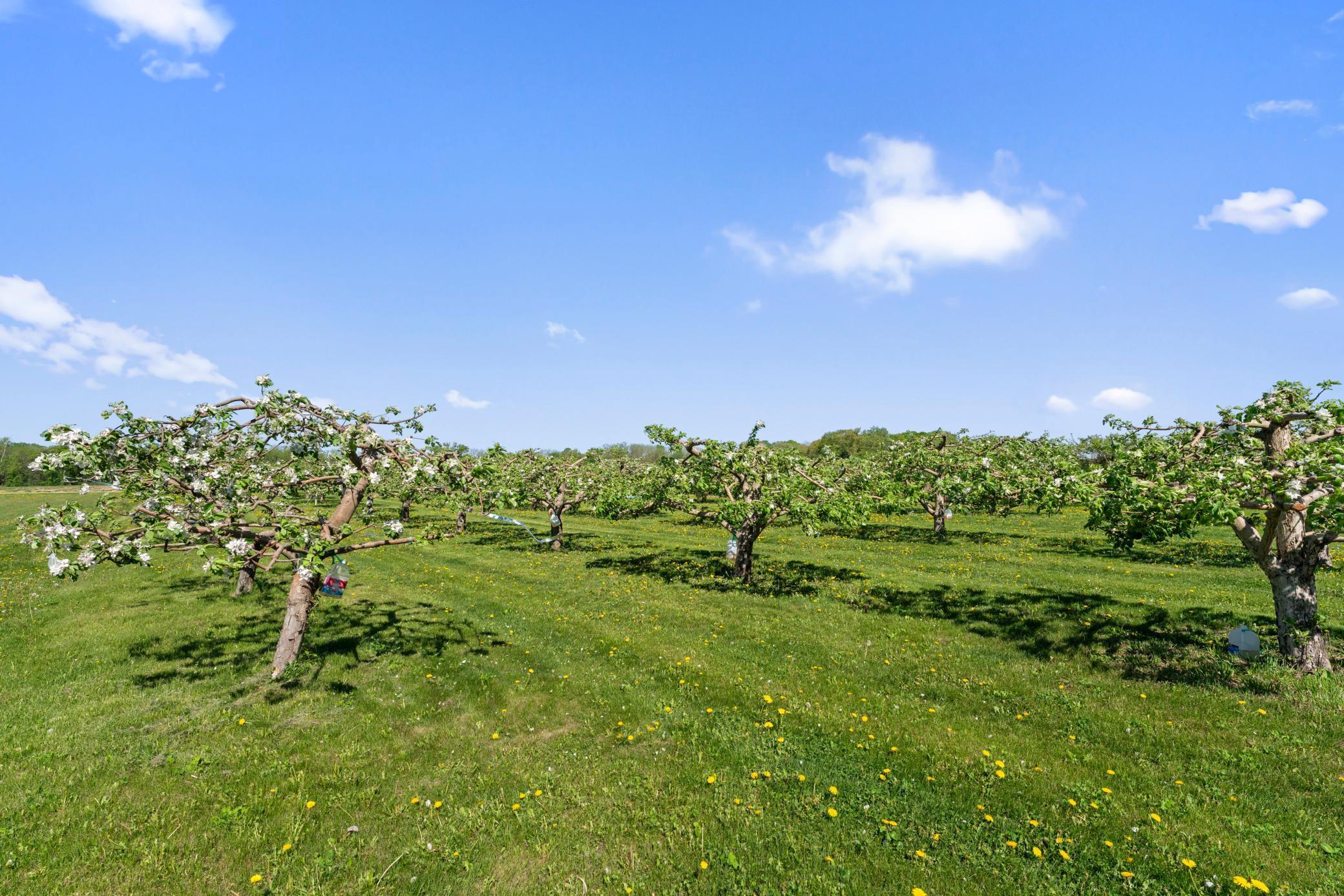 Bridgewater Twp, Minnesota, 55057, United States, ,Residential,For Sale,1851900