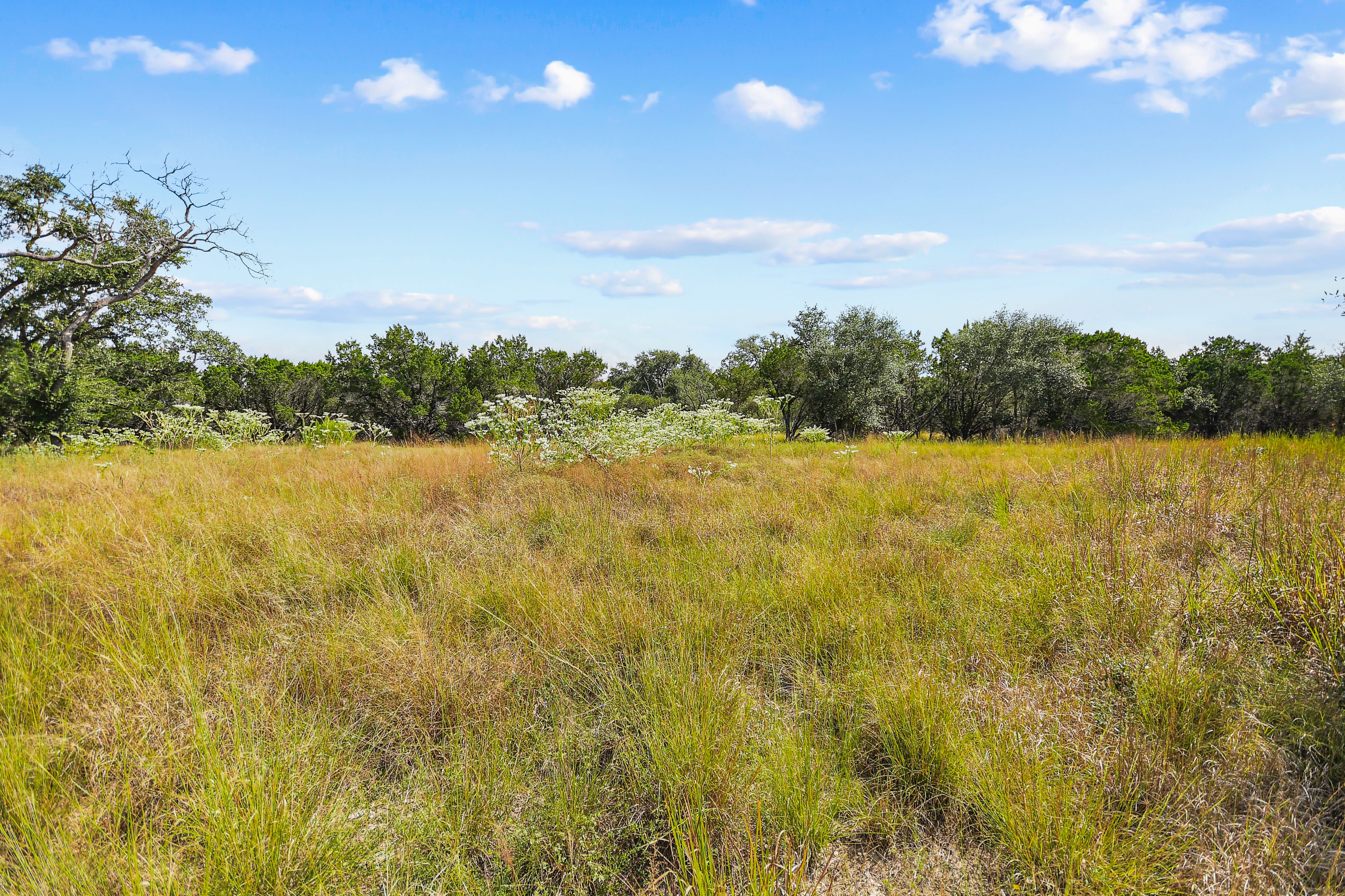 TBD Hwy 46 / Madrona Ranch Road, Pipe Creek, TX 78063 - 物件實景