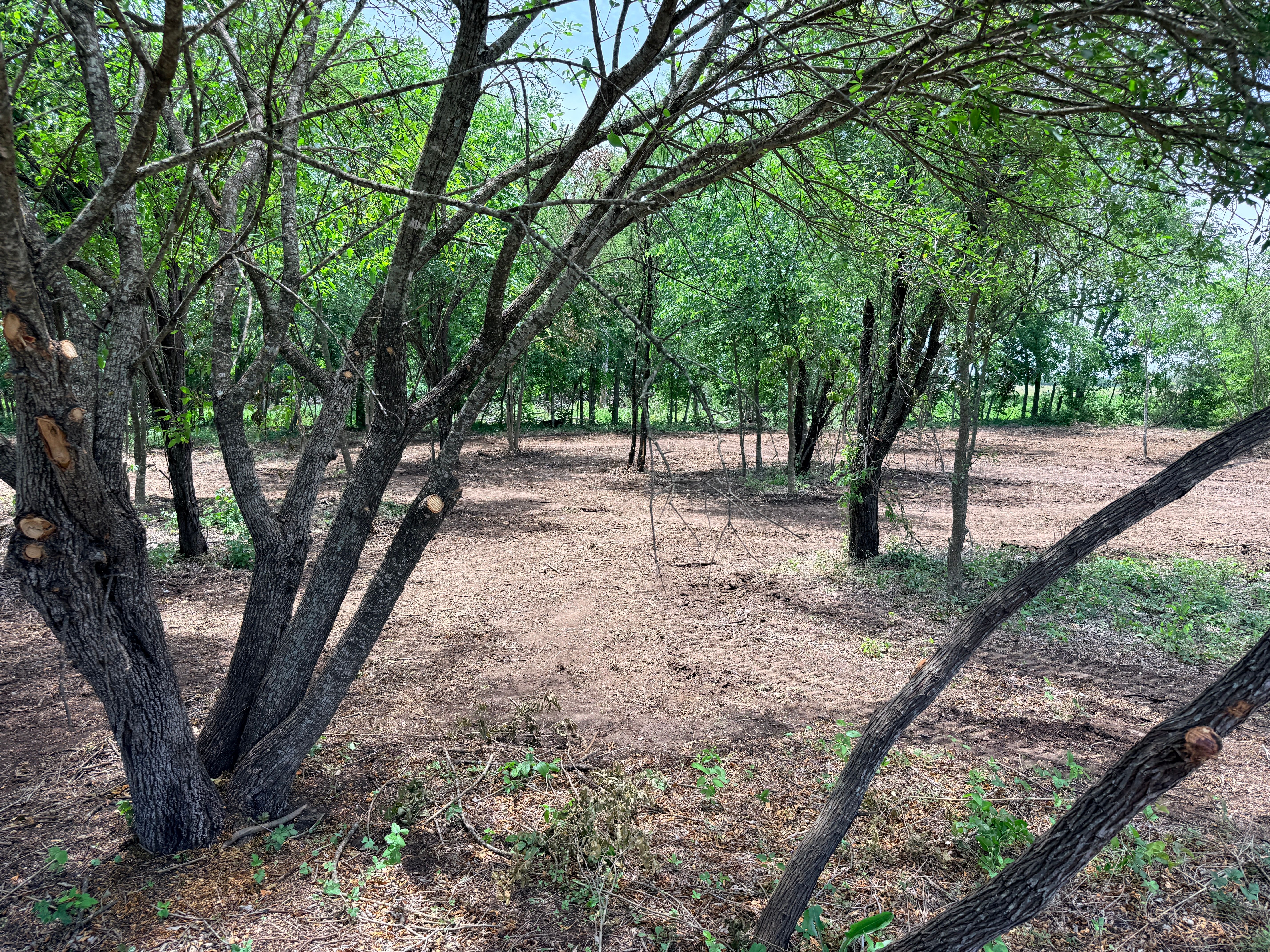  Secluded 1-acre Lot - 物件實景