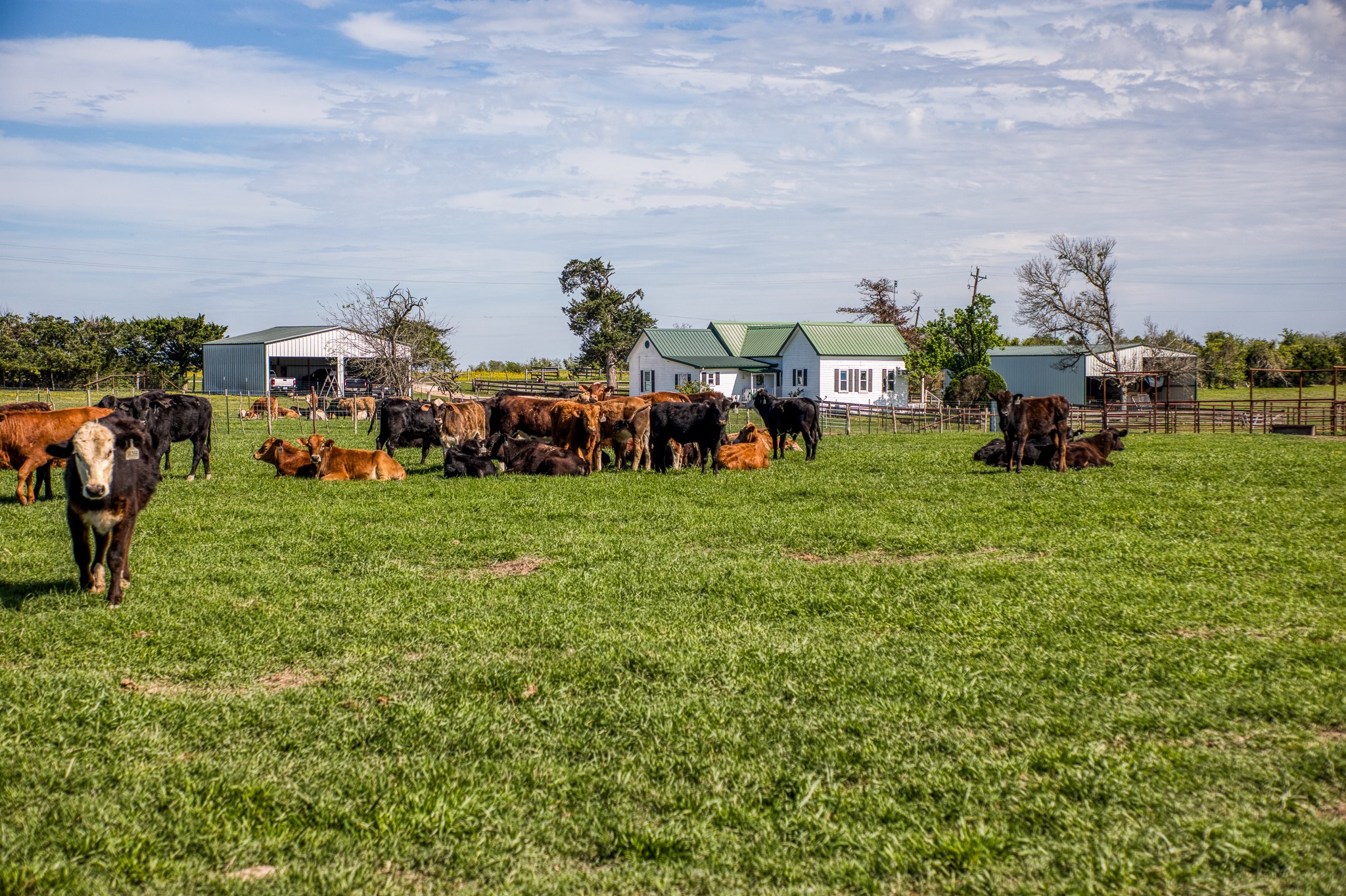  20751 Fm 1155, Washington, TX, 77880 - 物件實景