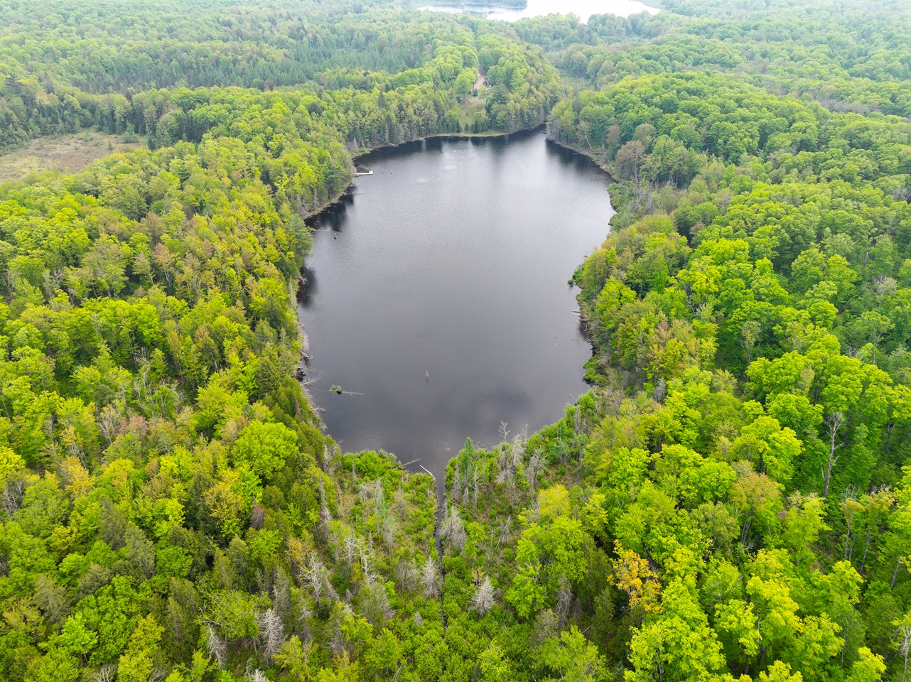 Oma, Wisconsin, 54534, United States, ,Residential,For Sale,1920346