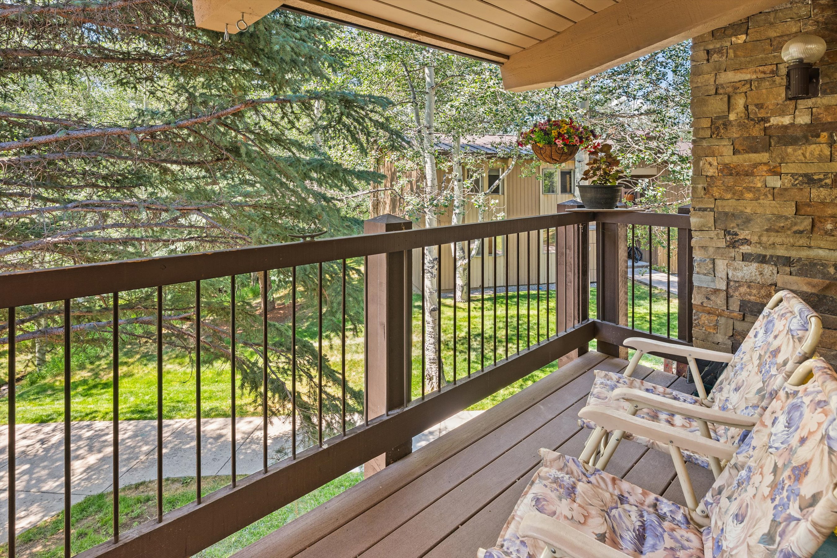  35 Upper Woodbridge Road, Snowmass Village, CO, 81615 - 物件實景
