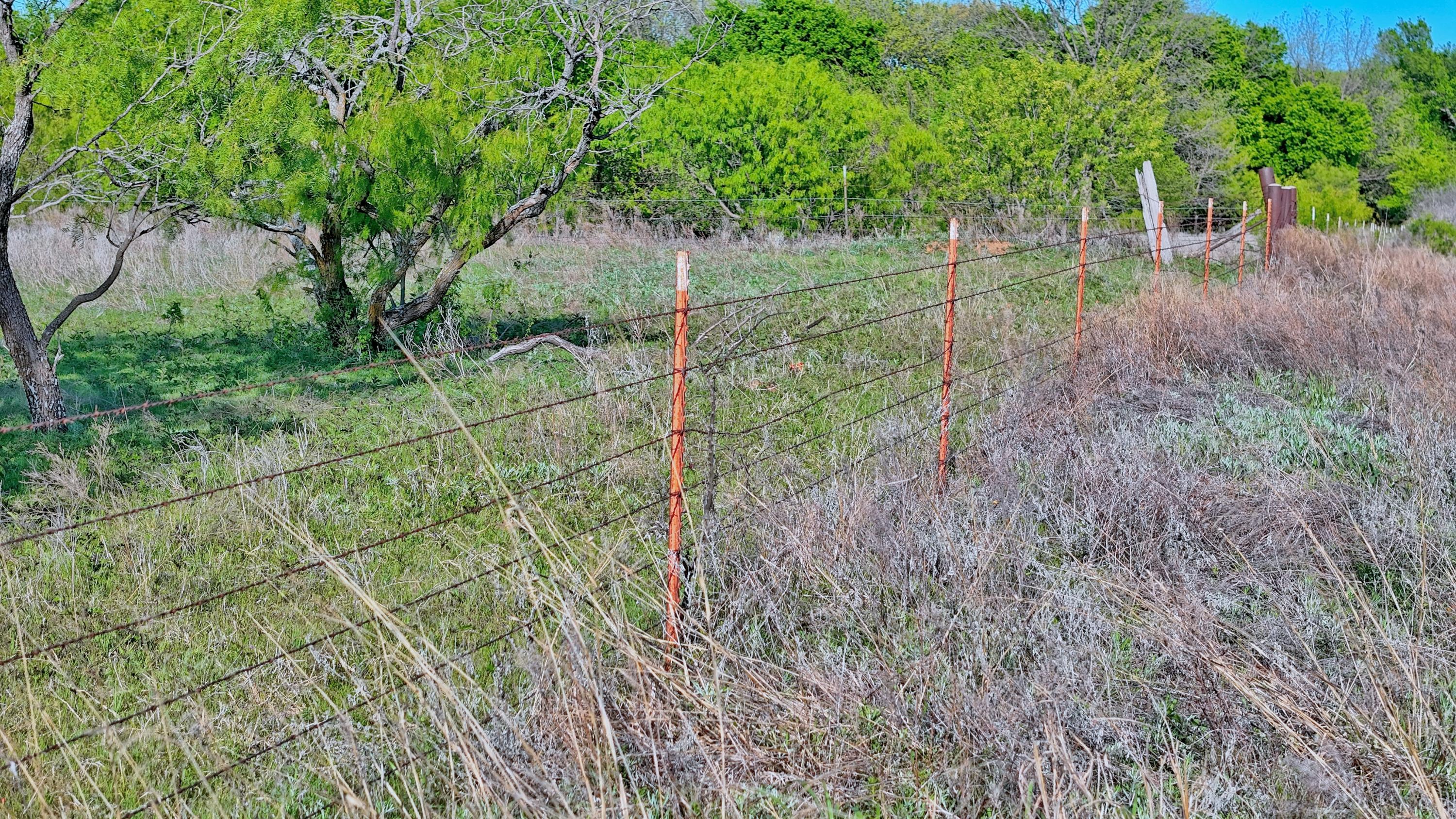  180 +/- Acre Multi-use North Texas Ranch - 物件實景