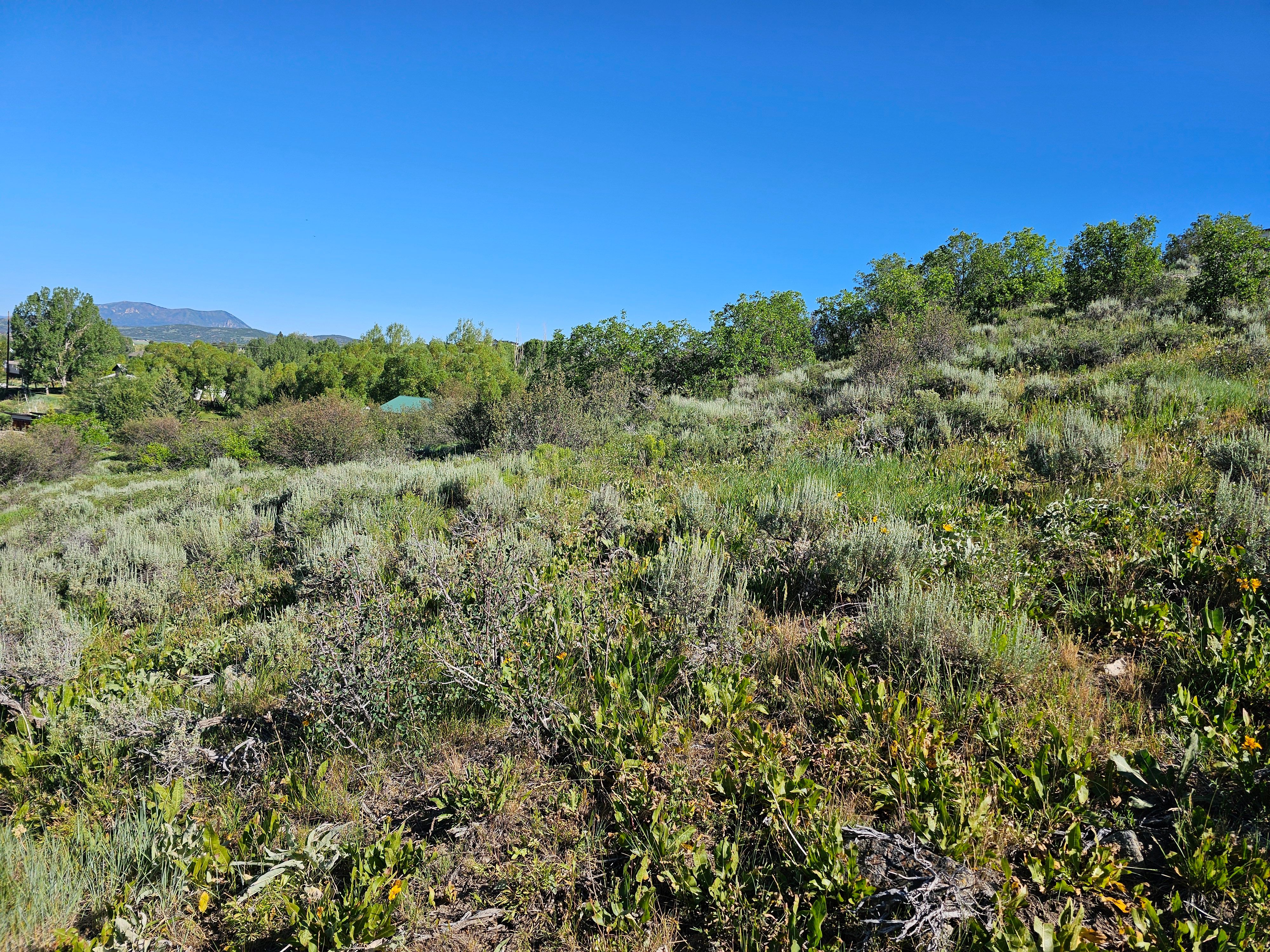  1327 Indian Trail, Steamboat Springs, CO, 80487 - 物件實景