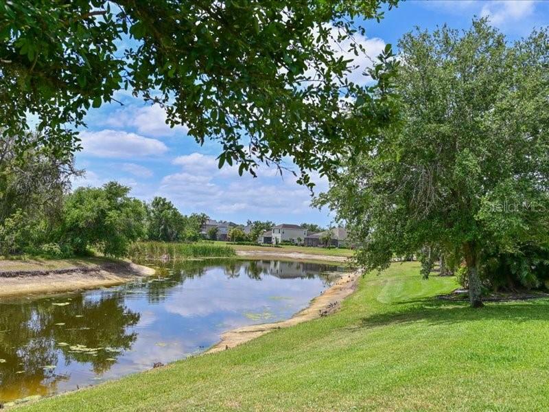 Parrish, Florida, 34219, United States, 3 Bedrooms Bedrooms, ,2 BathroomsBathrooms,Residential,For Sale,1785586