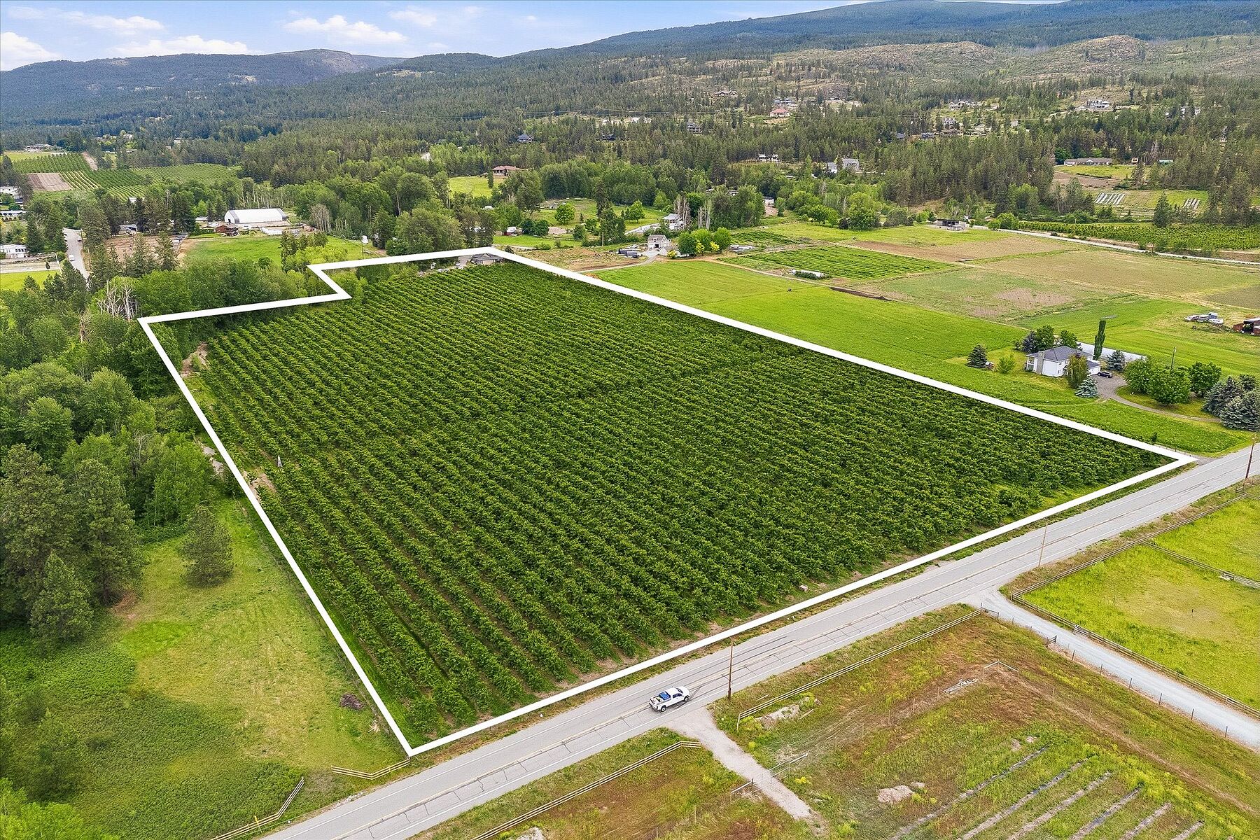  17.66 Acre Cherry Orchard - 物件實景