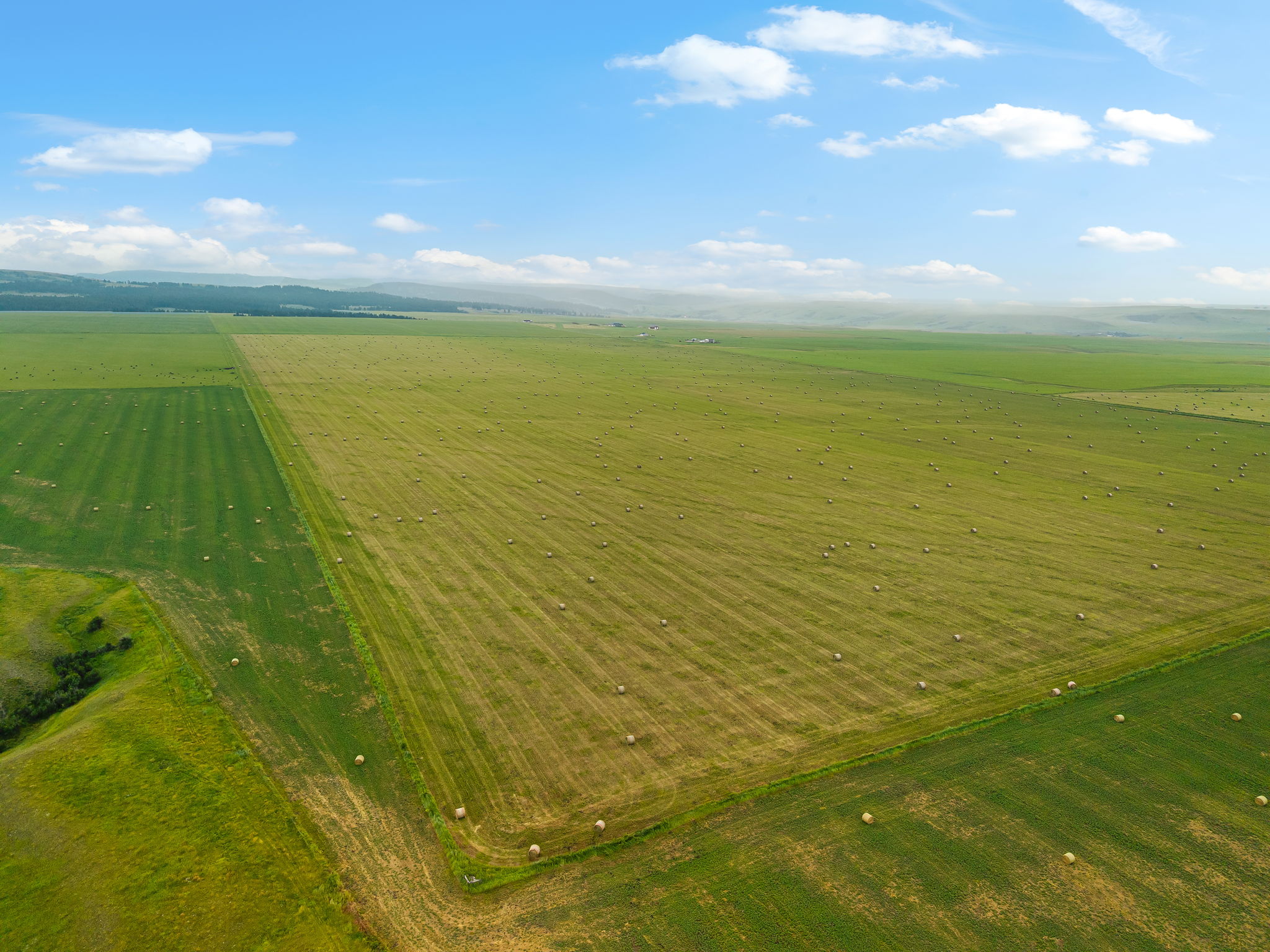  6058 Cottonwood Creek Road - 物件實景