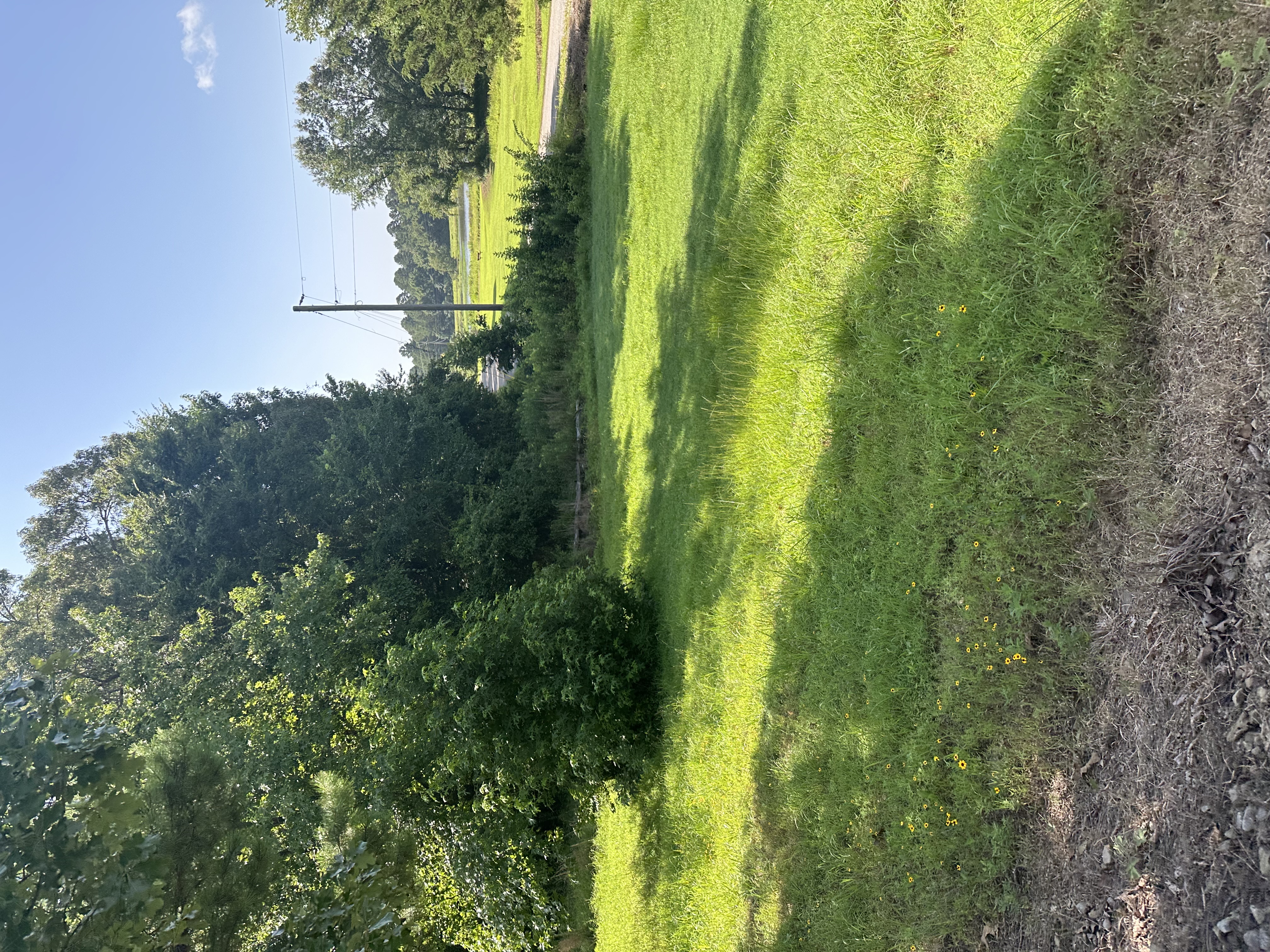 Clarksville, Arkansas, 72830, United States, ,Land,For Sale,1896569