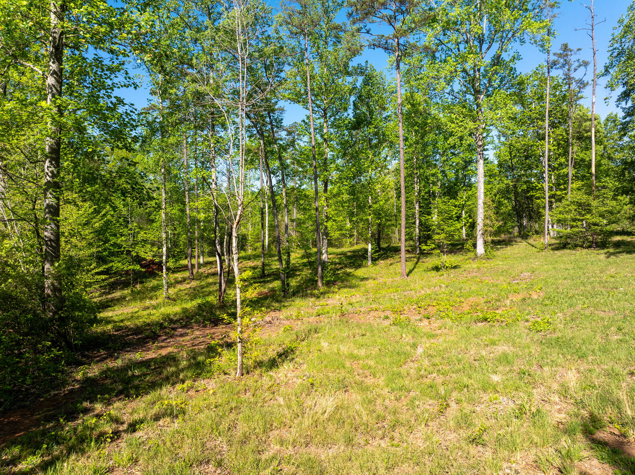  118 Harris Road, Pickens, SC 29671 - 物件實景
