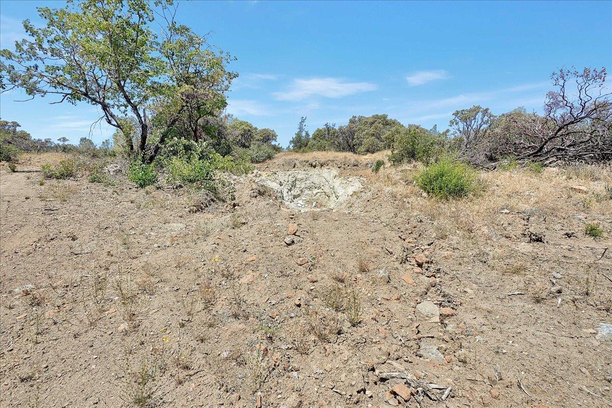 Oregon House, California, 95962, United States, ,Land,For Sale,1975767