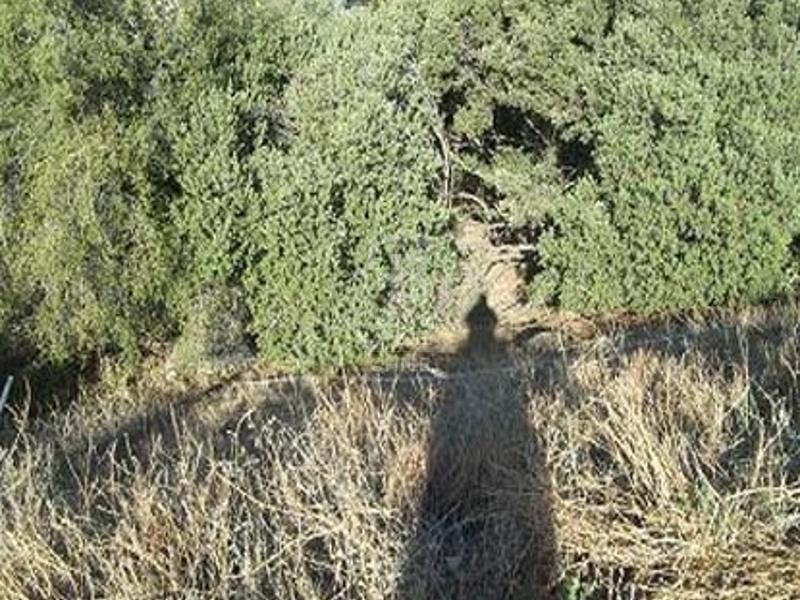 Lo Barnechea, Chile, ,Land,For Sale,1902149