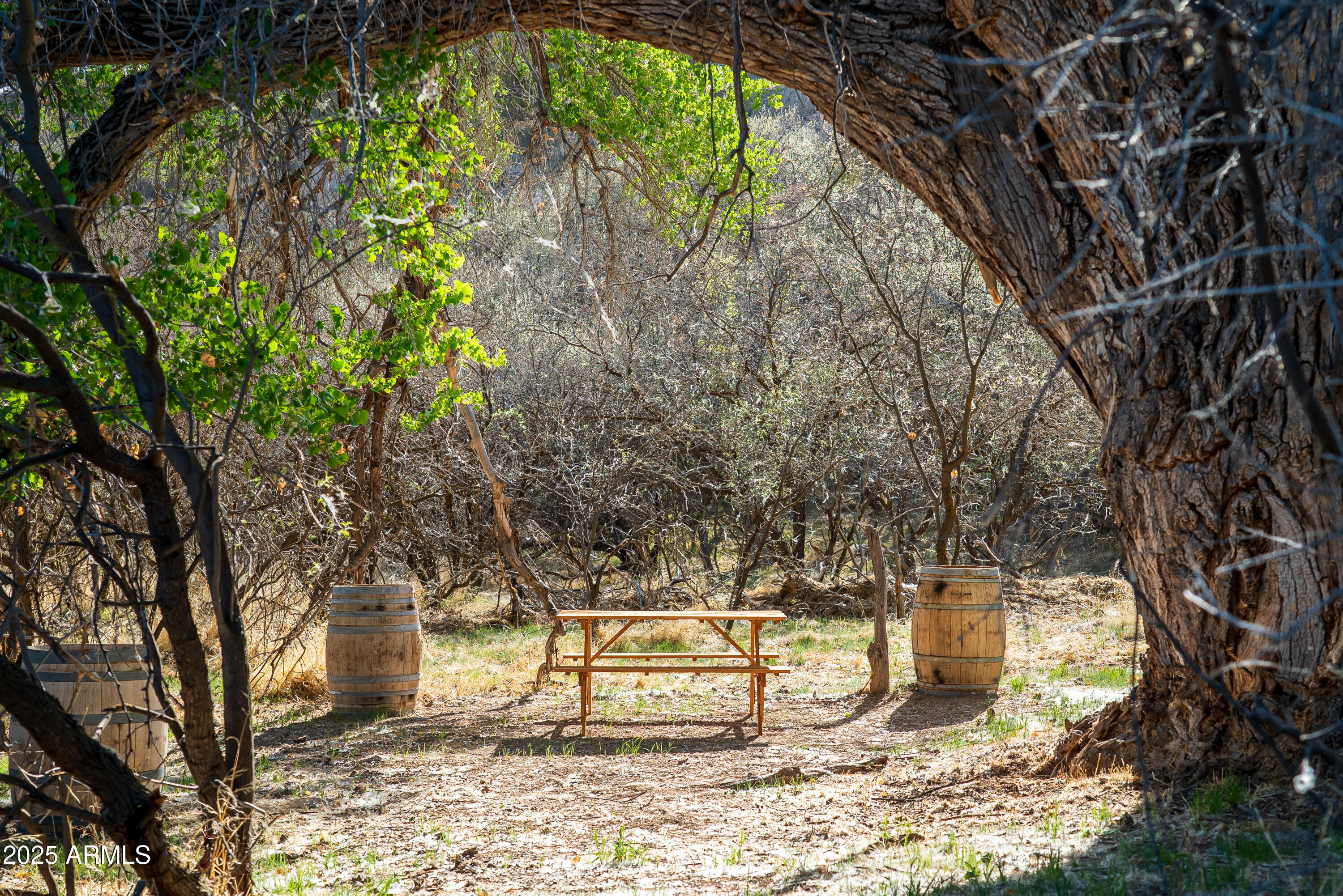 Cornville, Arizona, 86325, United States, ,Land,For Sale,1947959