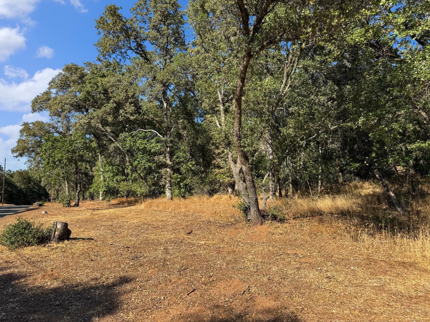Auburn, California, 95603, United States, ,Residential,For Sale,1935188