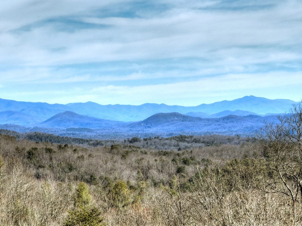 Mineral Bluff, Georgia, 30559, United States, 4 Bedrooms Bedrooms, ,4 BathroomsBathrooms,Residential,For Sale,2010498