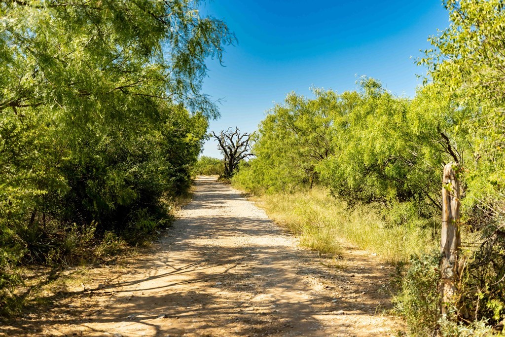 0 Ranch Rd 783, Doss, Texas, 78618, United States, ,Residential,For Sale,0 Ranch Rd 783,1310682