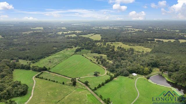 Henderson, Texas, 75654, United States, ,Land,For Sale,1951348