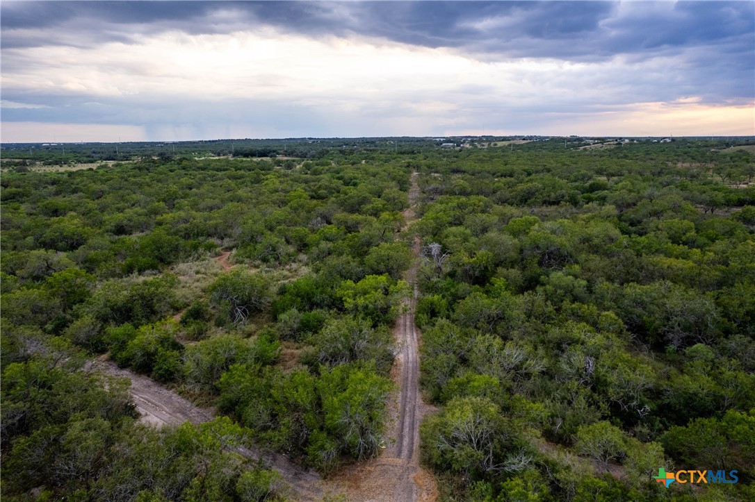 000 CR376, George West, Texas, 78022, United States, ,Land,For Sale,000 CR376,1676850