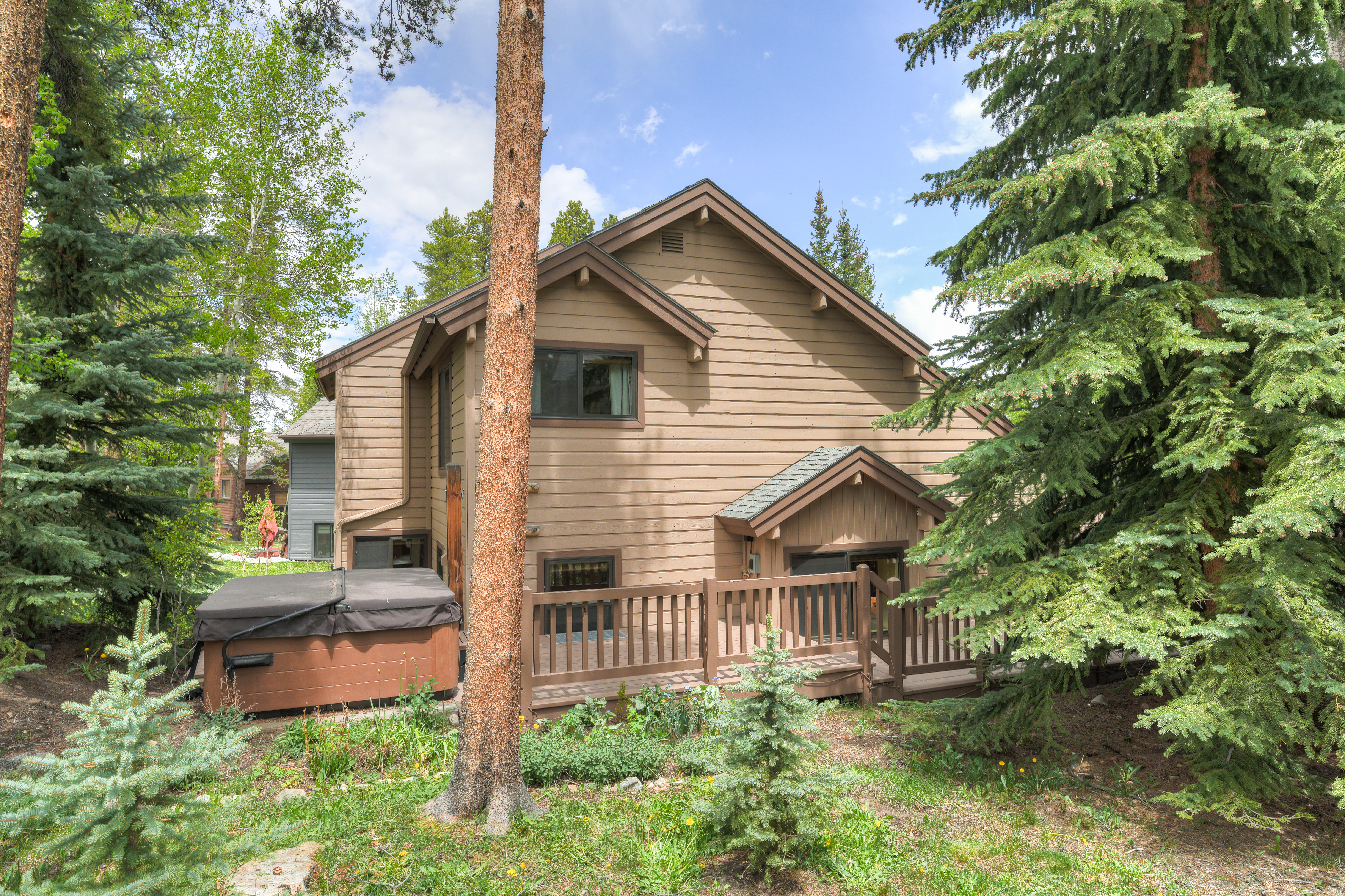  114 Park Forest Drive, Breckenridge, CO, 80424 - 物件實景