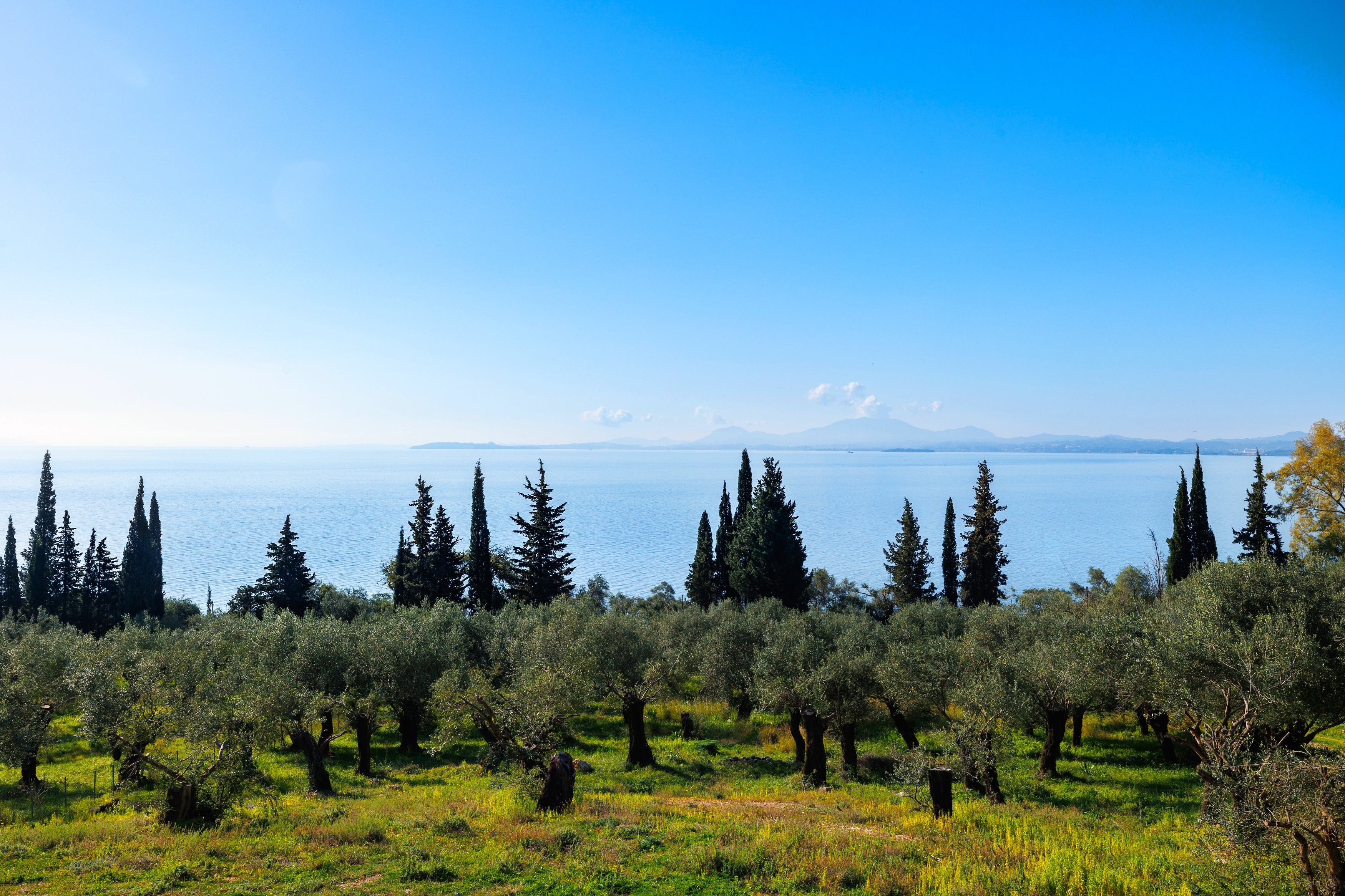  Ariti - 物件實景