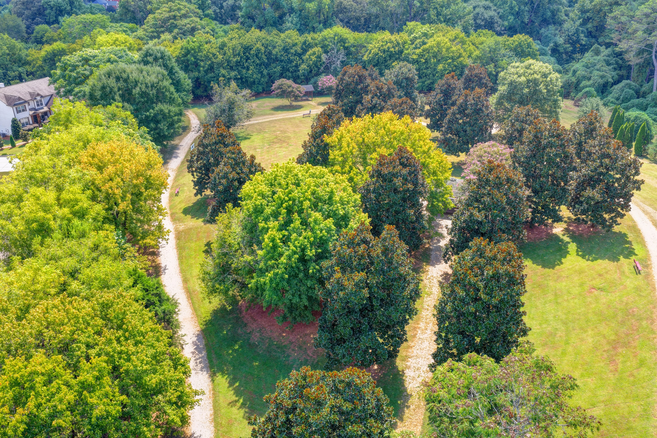  Active Adult Nearly-new Ranch Home in the Heart of Hickory Flat Area of Canton - 物件實景