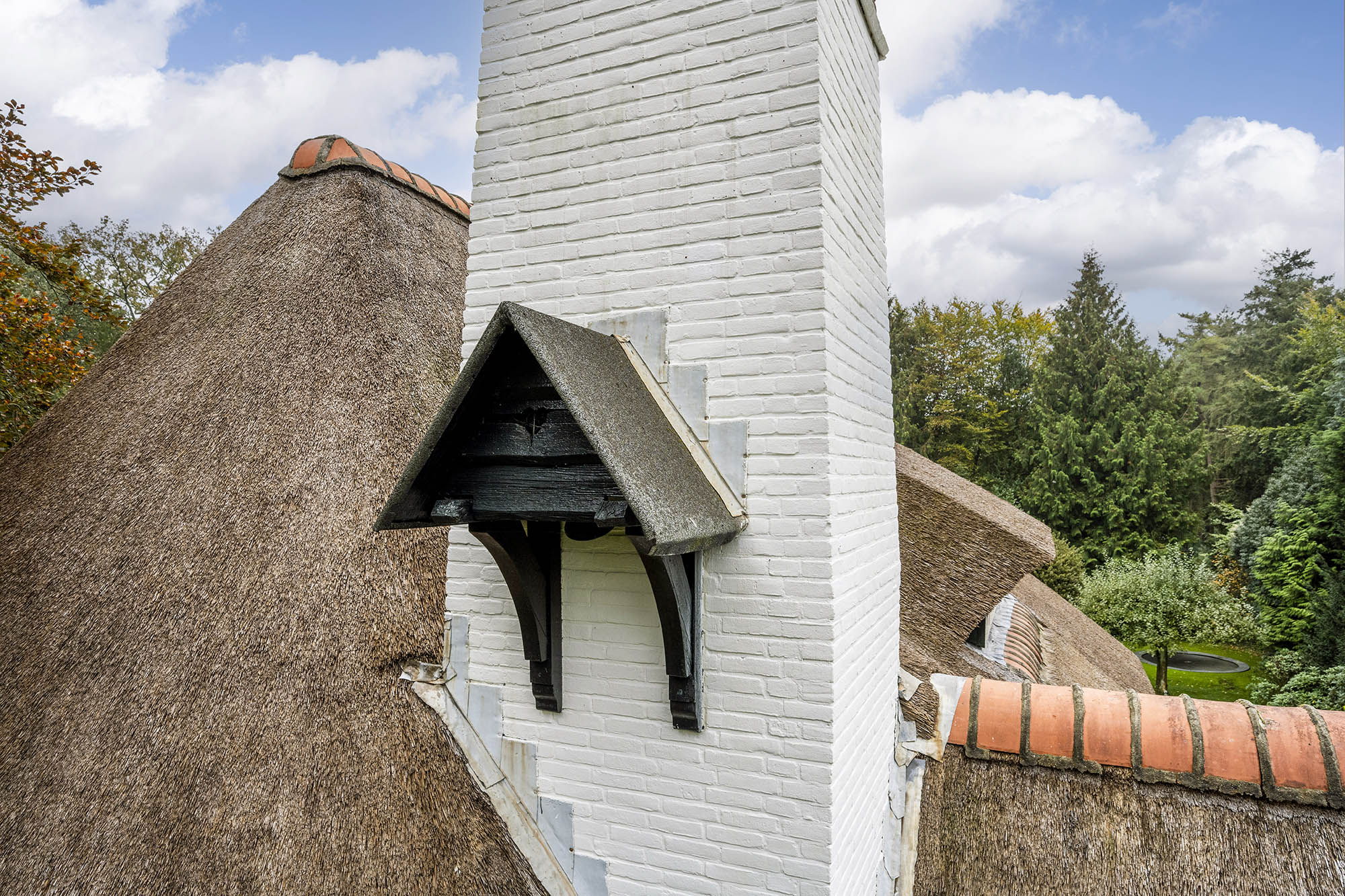  COUNTRY HOUSE ‘DE BEUK’ – CHARACTERFUL LIVING IN AN EXCEPTIONAL GREEN SETTING - 物件實景