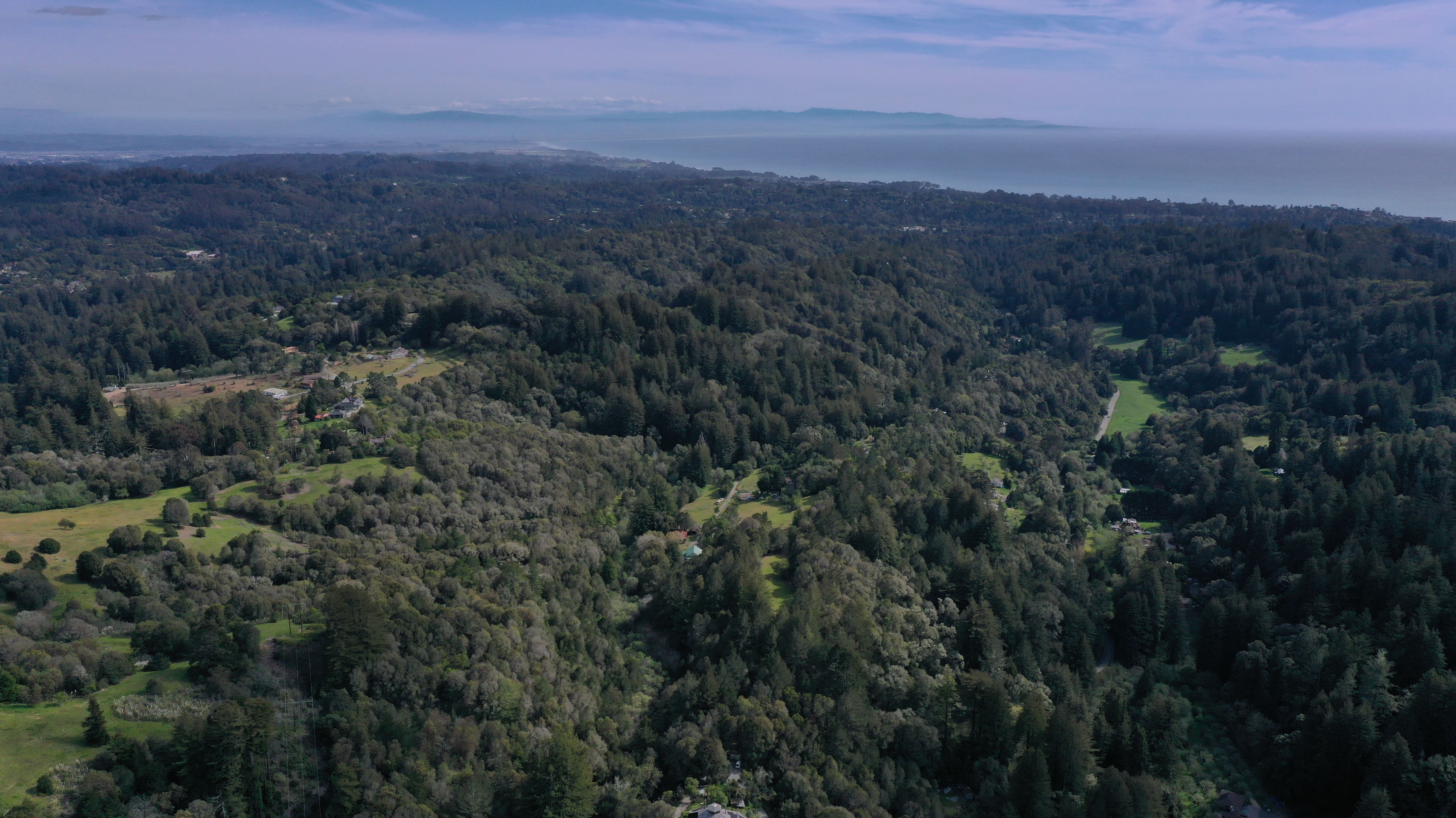  700 Valencia School Road, Aptos, CA 95003 - 物件實景