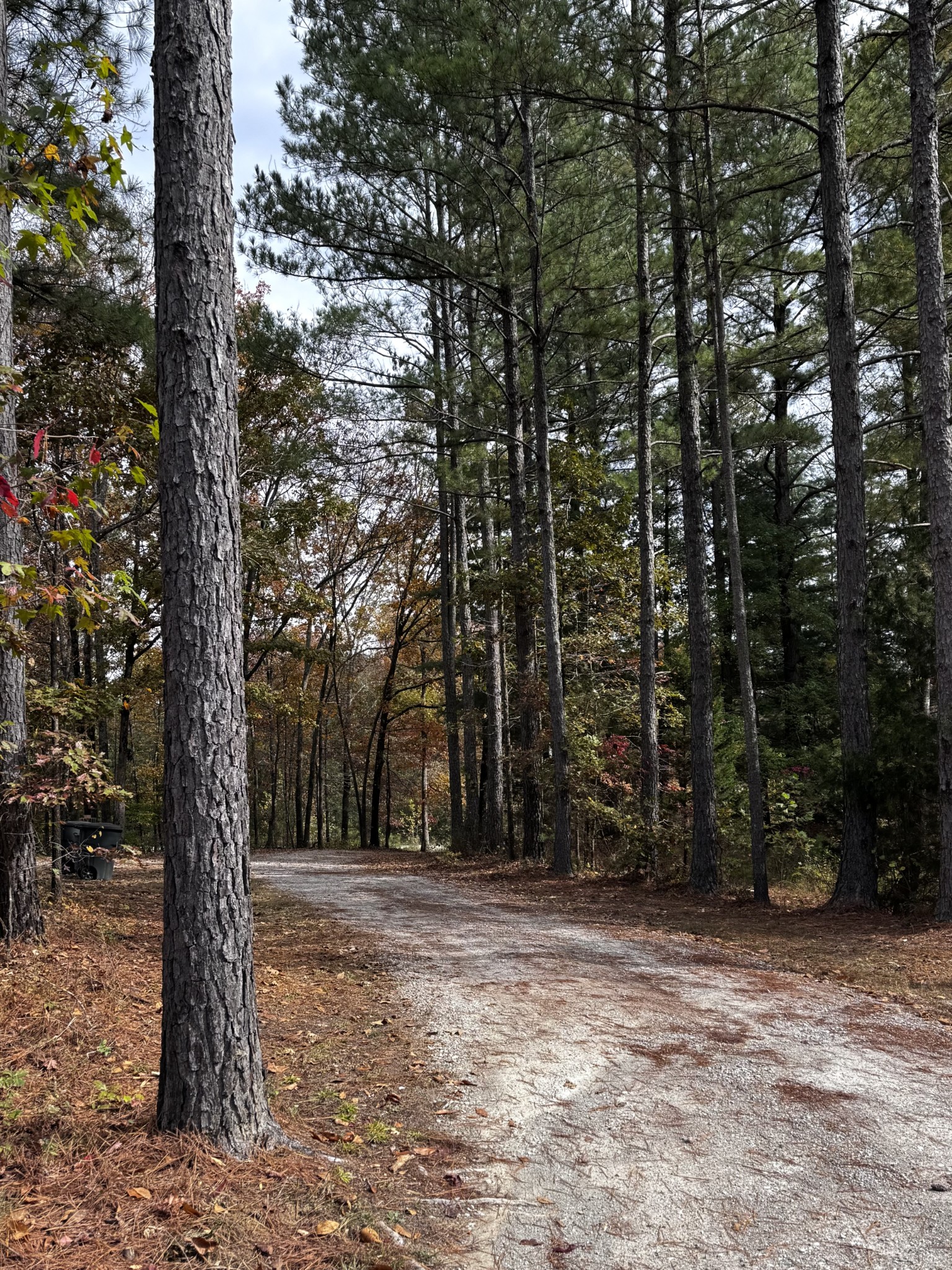 Lawrenceburg, Tennessee, 38464, United States, 3 Bedrooms Bedrooms, ,2 BathroomsBathrooms,Residential,For Sale,1988377