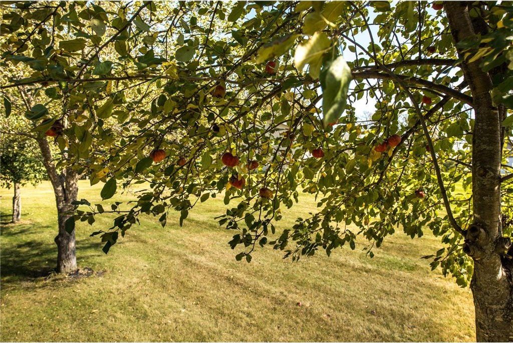 Brandon, Minnesota, 56315, United States, 4 Bedrooms Bedrooms, ,1 BathroomBathrooms,Residential,For Sale,1976926