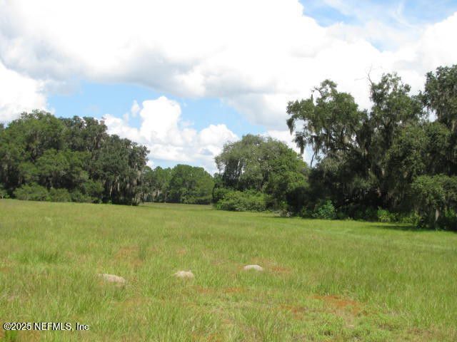 Crescent City, Florida, 32112, United States, ,Land,For Sale,1974247